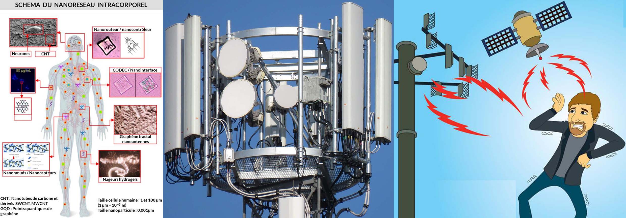 Triptique Nano Electro Cibles